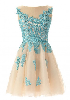 A-line Round Neck Tulle Beaded Short Lace Open Back Champagne Prom Homecoming Dress