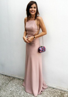 Sheath Spaghetti Straps Backless Blush Prom Dress