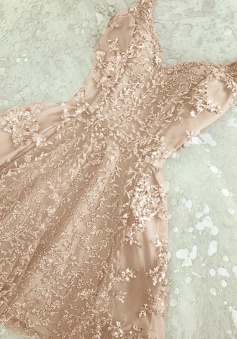 A-Line Spaghetti Straps Short Champagne Tulle Homecoming Dress with Beading