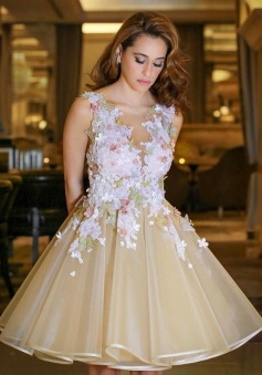 A-Line Scoop Backless Champagne Organza Homecoming Dress with Appliques