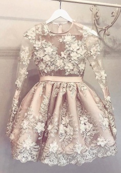 A-Line Jewel Long Sleeves Short Champagne Tulle Homecoming Dress with Appliques