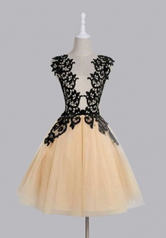 Elegant Scoop Mid-calf Champagne Homecoming/Party Dress with Black Lace