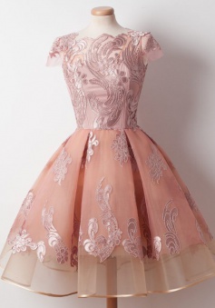 A-Line Bateau Knee-Length Cap Sleeves Pink Organza Homecoming Dress with Appliques