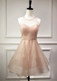 A-Line Jewel Keyhole Back Champagne Tulle Homecoming Dress