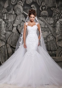 Beauty Tulle Mermaid Lace Wedding Dress with Wedding Veil