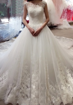 Bateau Applique Court Train Ball Gown Sleeveless Tulle Wedding Dresses