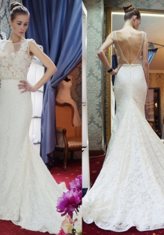 Sleeveless Backless Mermaid Zipper Gorgeous Lace Wedding Dress