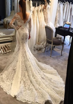 Mermaid Long-Sleeves V-Neck Lace Elegant Wedding Dress