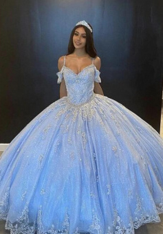 Elegant Ball Gown Lace Prom Dresses