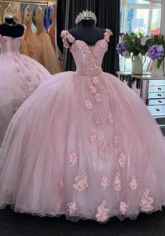 Elegant Ball Gown Pink Tulle Floor Length Lace Prom Dresses