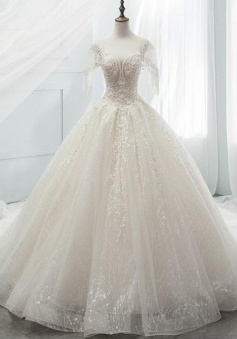Vintage Ball Gown Tulle Backless Wedding Dress