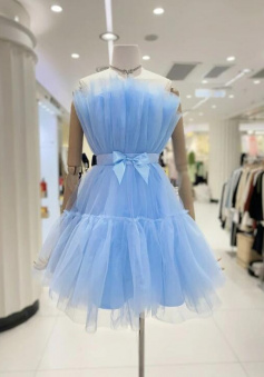Lovely Short Blue Tulle Party Dress With Bow