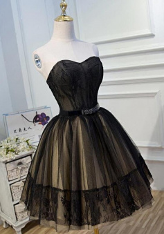 Simple Black Lace Tulle Short Homecoming Dresses