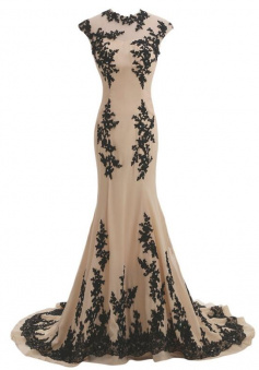 Elegant Jewel Champagne Mermaid Evening Dresses With Black Lace