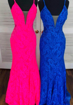 Elegant Mermaid Lace Long Prom Dress