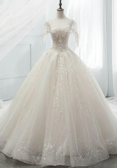 Vintage Ball Gown Tulle Backless Wedding Dress Prom Dresses