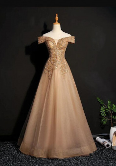 Off Shoulder Lace Applique Champagne Tulle Party Dress