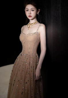 A Line Champagne Long Prom Dress Sexy Evening Dresses  