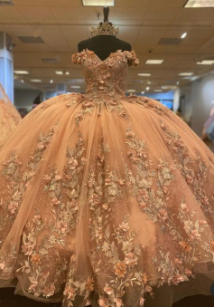 champagne lace ball gown prom dresses long evening dress  