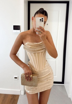 Light Champagne Sheath Strapless Corset Tulle Sequin Short Homecoming Dress Cocktail Dress 