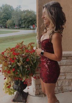 Burgundy Sheath Party Dress Lady Fashion Homecoming Gown    