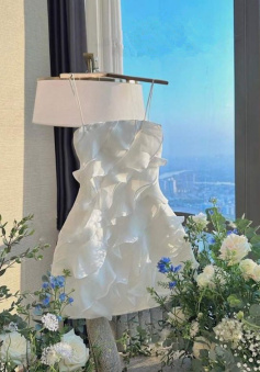 White Short Party Dress Lady Fashion Homecoming Gown    