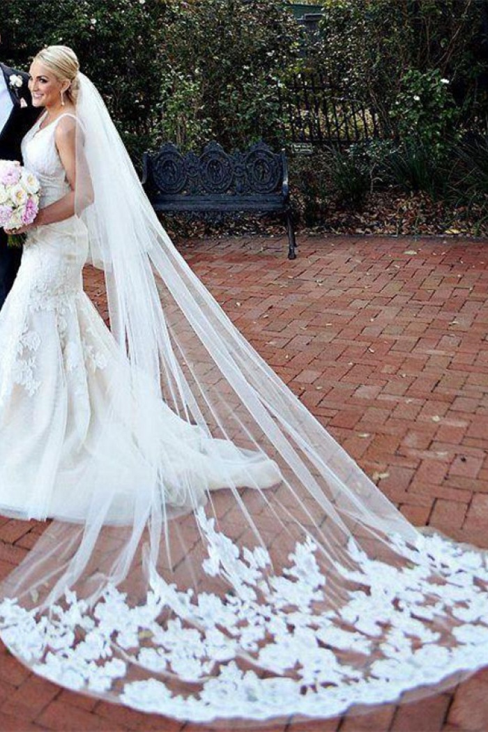 lace wedding dress and veil