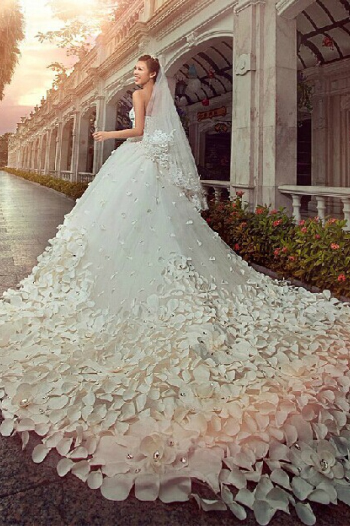 cathedral wedding gown